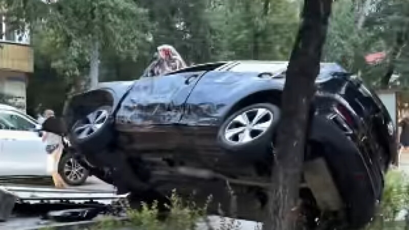 Необычное ДТП произошло в центре Алматы: авто повисло на дереве, Аренда авто Алматы | naprokat.kz
