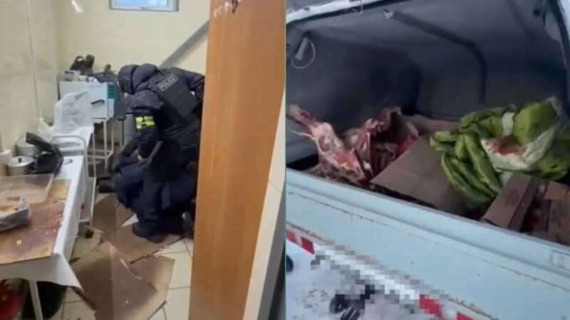 Казахстанец расплатился за авто крадеными лошадьми