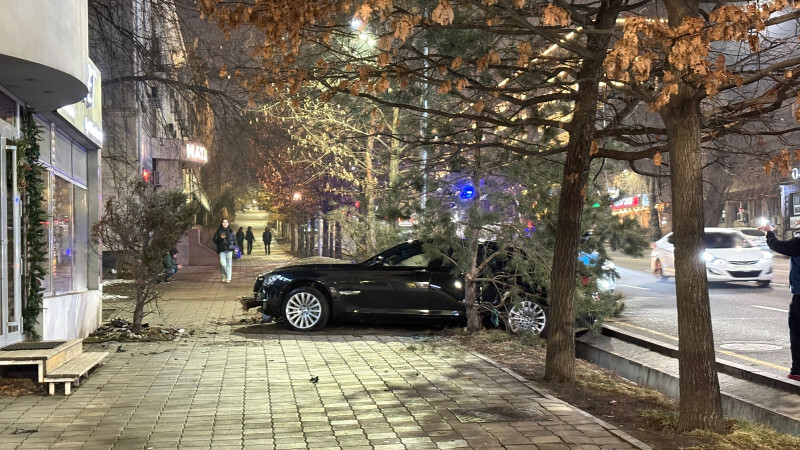 В центре Алматы BMW вылетел на обочину и снес деревья, Аренда авто Алматы | naprokat.kz