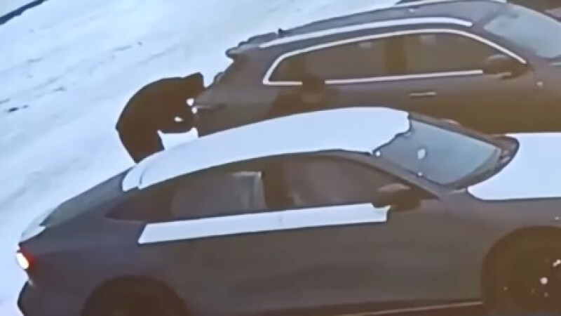 Автомобиль угнали прямо из автосалона в Алматинской области, Аренда авто Алматы | naprokat.kz