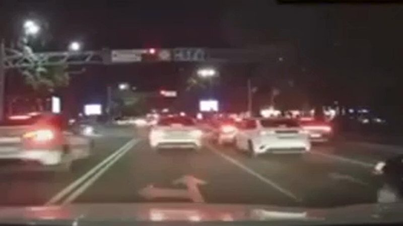 Алматинец на Tesla устроил “ночную гонку с полицейскими“: видео