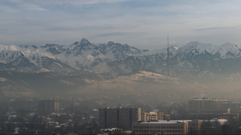 За руль только в чётные или нечётные дни: в акимате Алматы ответили на предложение
